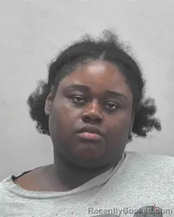 Mugshot of DANYELLE R FEARANCE booked in Lake County, Indiana on June 16, 2026