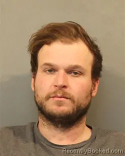 Mugshot of ROBERT DWYER PETROLLI