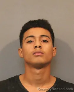 Mugshot of JESUS DANIEL CASTILLO FIGUEROA