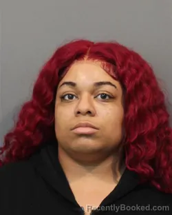 Mugshot of ALISHA NICOLE POOLE