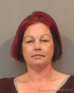 Mugshot of Kari Ann Dimock booked in Lake County, Indiana on August 20, 2026