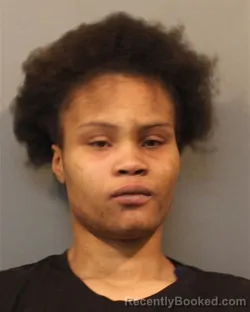 Mugshot of Anyra Marie Nicole Turner booked in Lake County, Indiana on September 9, 2026