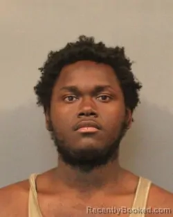 Mugshot of LAYMELL JAYLEA BURKS