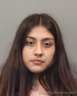 Mugshot of AYLISSA SANDRA JOHNSON