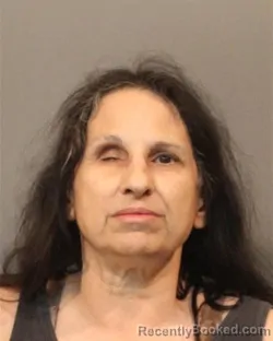 Mugshot of Cherise Marie Stefanelli booked in Lake County, Indiana on October 26, 2026