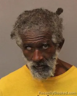 Mugshot of DURK DIONE ANDERSON