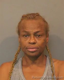Mugshot of KIMBERLY DENISE WILLIAMS