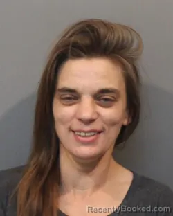 Mugshot of JENNIFER L NOVAK