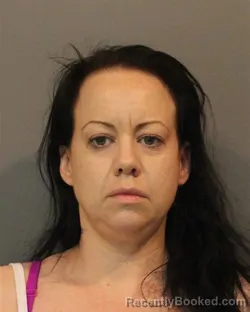 Mugshot of AMBER LYNN DOVICHI booked in Lake County, Indiana on April 23, 2026