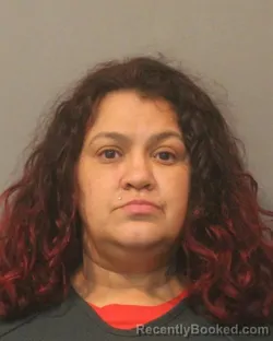 Mugshot of Zolinda Nena Diaz booked in Lake County, Indiana on August 31, 2026