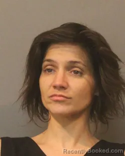 Mugshot of NICOLE MARIE DAVIS