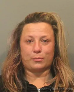 Mugshot of MEGAN ELEANOR GOLDIE