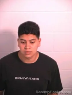 Mugshot of FABIAN REYNA DIAZ