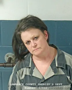 Mugshot of ROBYN C DESTEFANO