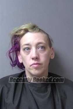 Booking photo from Madison County, Indiana