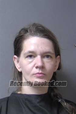 Booking photo from Madison County, Indiana