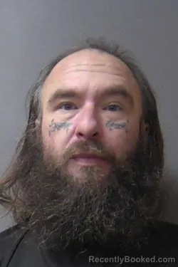 Booking photo from Madison County, Indiana