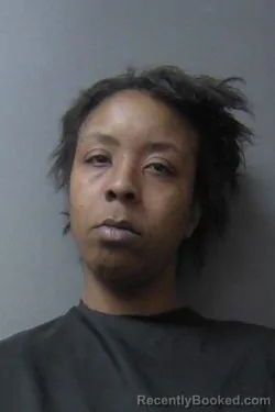 Mugshot of Julia Laura Birchett