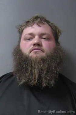 Booking photo from Madison County, Indiana