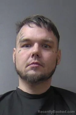 Booking photo from Madison County, Indiana