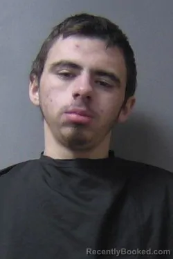 Mugshot of Rilyn Rey Tincher