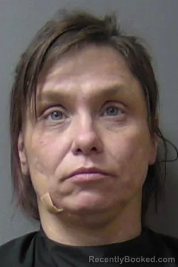 Mugshot of Ashley Diane Wood