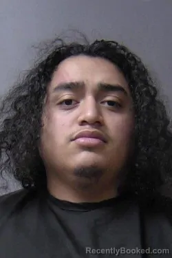 Mugshot of Hector Daniel Luna