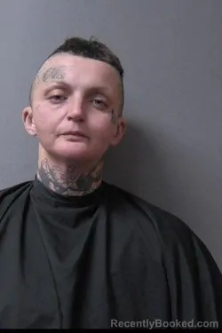 Mugshot of Brittany Nichole James