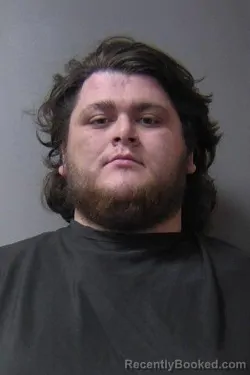 Mugshot of Levi Steele Shetterley