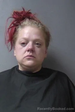 Mugshot of Sarah Elizabeth Crabtree booked in Madison County, Indiana on March 6, 2026