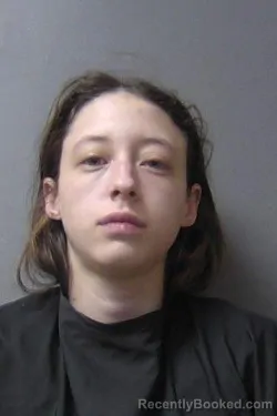 Mugshot of Emilee Sue Powers booked in Madison County, Indiana on March 10, 2026