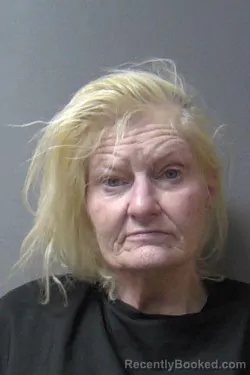 Mugshot of Stacy Eileen Painter booked in Madison County, Indiana on March 10, 2026