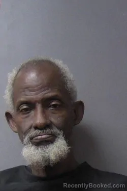 Mugshot of Laverne Chamberlain booked in Madison County, Indiana on March 11, 2026