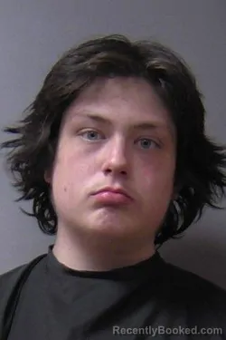 Mugshot of Alexander Jakob Wattenburger booked in Madison County, Indiana on March 15, 2026