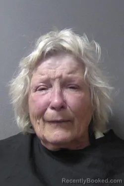 Mugshot of Darcy Lund booked in Madison County, Indiana on March 19, 2026