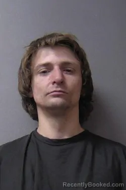 Mugshot of Montana A Collins booked in Madison County, Indiana on March 19, 2026