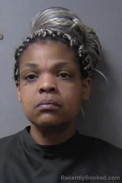 Mugshot of Heather Crystal Hill booked in Madison County, Indiana on March 24, 2026