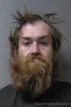 Mugshot of Daniel Bailey Wallace booked in Madison County, Indiana on March 24, 2026