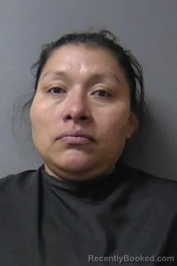 Mugshot of Veronica Vasquez Coreas booked in Madison County, Indiana on April 1, 2026