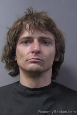 Mugshot of Montana A Collins booked in Madison County, Indiana on April 2, 2026