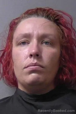 Mugshot of Michaela Catherine Moneyhun booked in Madison County, Indiana on April 3, 2026