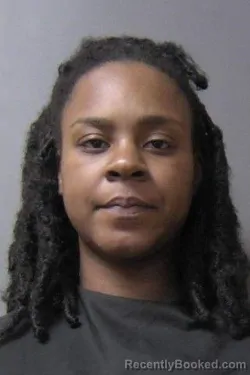 Mugshot of Dashanea Niko Perry booked in Madison County, Indiana on April 18, 2026