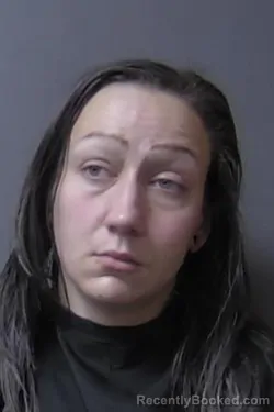 Mugshot of ROXANNE RENE BENNETT booked in Madison County, Indiana on April 24, 2026