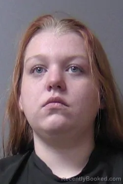 Mugshot of Morgan Raeann Lee booked in Madison County, Indiana on May 3, 2026
