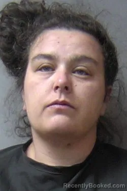 Mugshot of Emily R Geisert booked in Madison County, Indiana on May 6, 2026