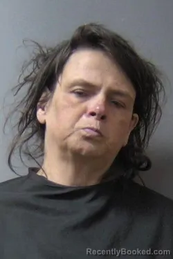 Mugshot of Theresa Marie Laboyteaux booked in Madison County, Indiana on May 7, 2026