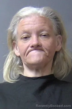 Mugshot of Amber Michelle Ploughe booked in Madison County, Indiana on May 11, 2026
