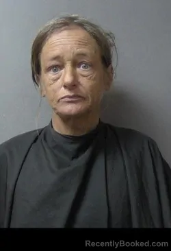 Mugshot of Aimee Danielle Wilson booked in Madison County, Indiana on May 14, 2026