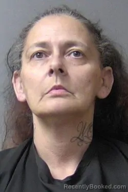 Mugshot of Bobbie Anne Miller booked in Madison County, Indiana on May 15, 2026