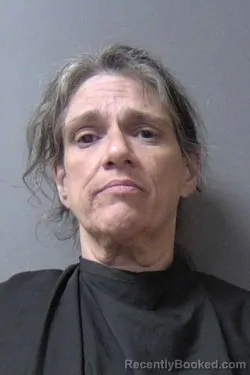 Mugshot of Amy Kathleen Anderson booked in Madison County, Indiana on May 20, 2026